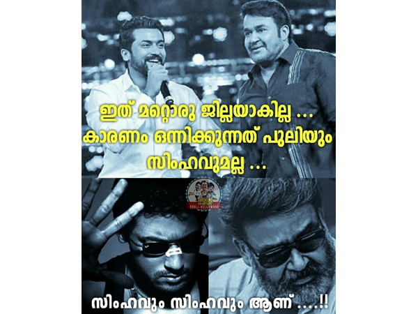 സിംഹവും സിംഹവും ഒന്നിച്ചാല്...?