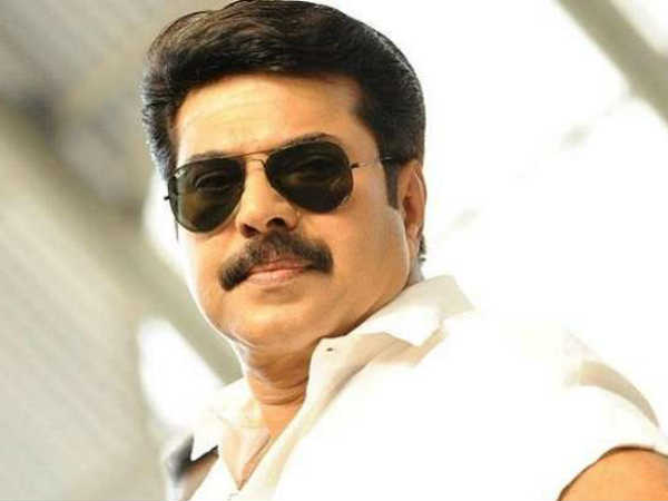 വിമാനം പറത്തി