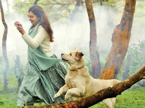 മികച്ച താരങ്ങൾ