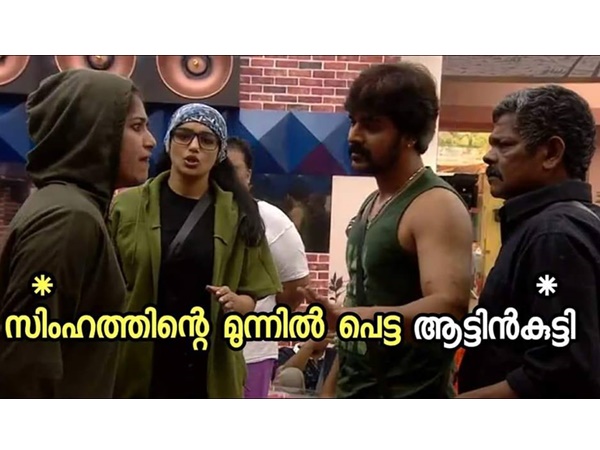 ആട്ടിന്ക്കുട്ടി..