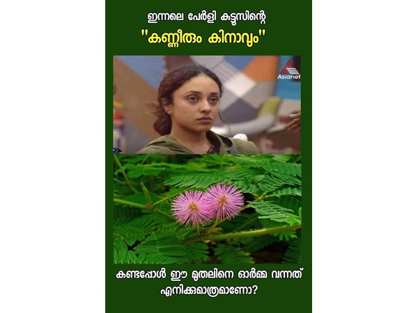 തൊട്ടവാടിയാണ്..
