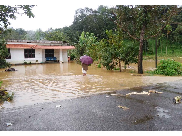 മാനസിക രോഗികൾ