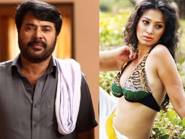 മലയാളത്തിലേക്ക് വീണ്ടും