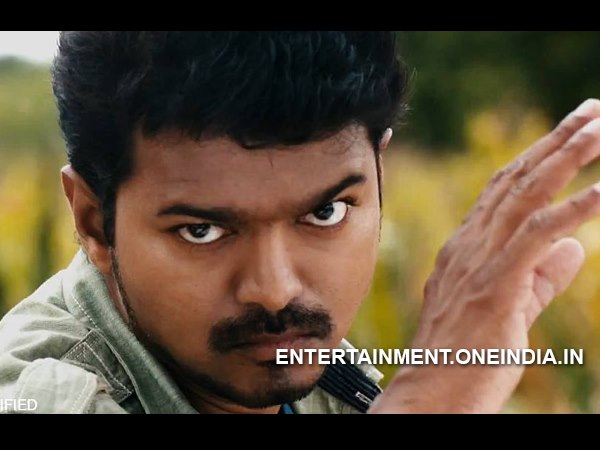 vijay vijay