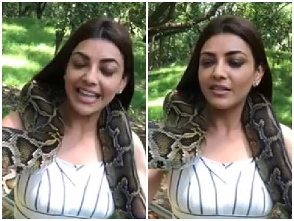 kajal kajal