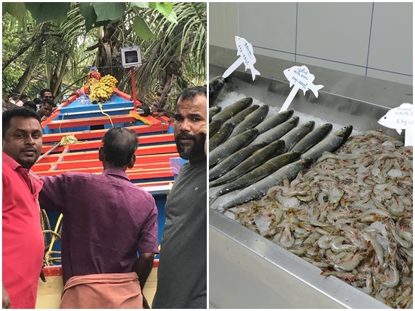 ഫിഷ് ഹബ്ബിന്റെ വിജയം