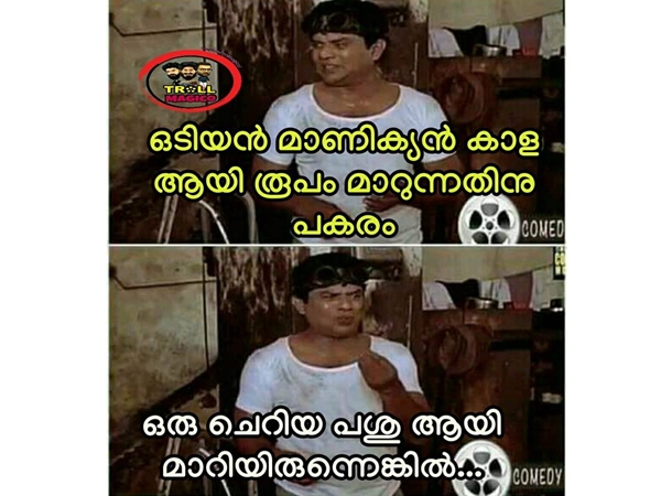 കാളയ്ക്ക് പകരം