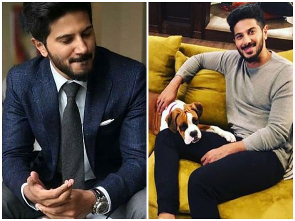 dq and his pet dq and his pet