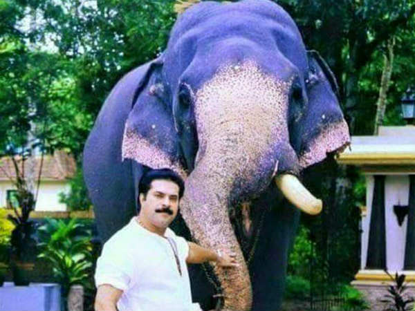 ആദ്യം സുരേഷ് ഗോപിയെ