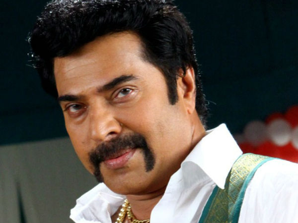മധുര രാജയുടെ വരവ്