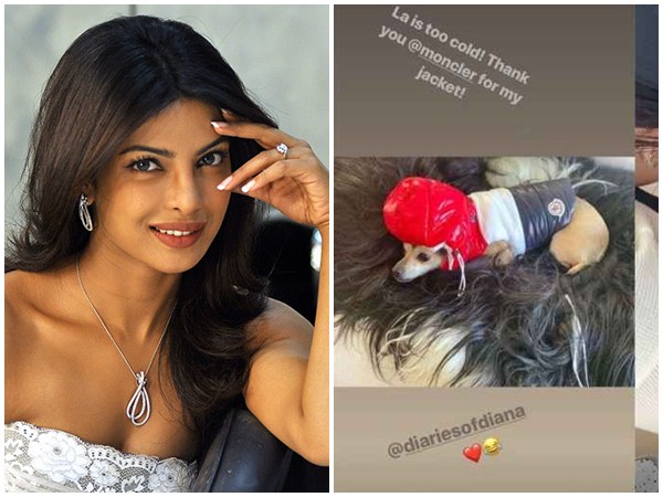 priyanka priyanka
