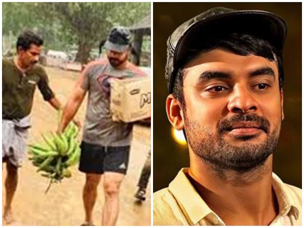 tovino tovino