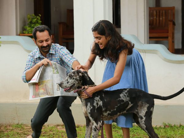 ഏറ്റവും പുതിയ കളക്ഷന് റിപ്പോര്ട്ട്