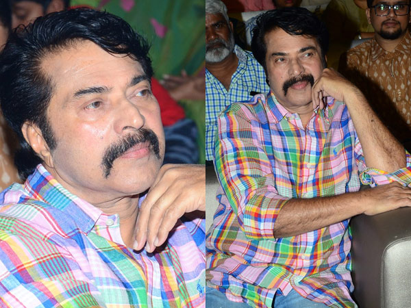 Mammootty Mammootty