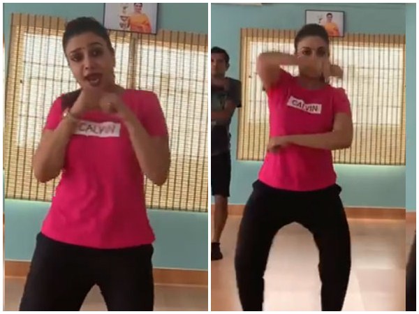 rimi tomy rimi tomy