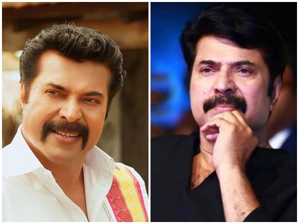 mammootty mammootty