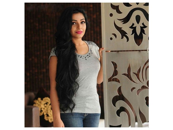 അനുരാഗ കരിക്കിന് വെള്ളത്തിലൂടെ സിനിമയിലേക്ക്