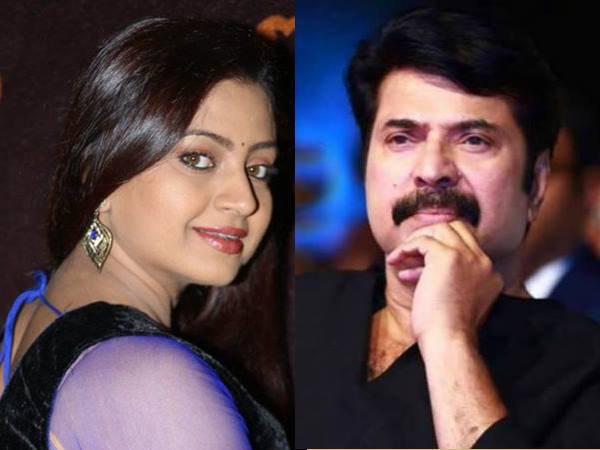 മമ്മൂട്ടിയെ കണ്ടിട്ടില്ല