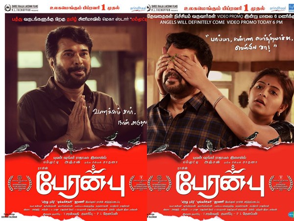 മമ്മൂട്ടിക്കേ കഴിയൂ