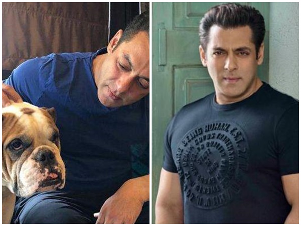 salmankhan salmankhan