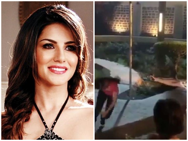 sunny leone sunny leone