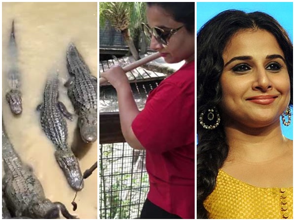 vidhya balan vidhya balan
