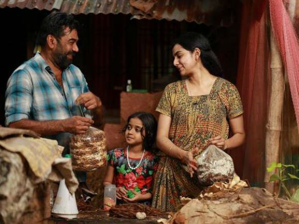 ഫുള്ള് കോൺക്രീറ്റ് ചെയ്തു