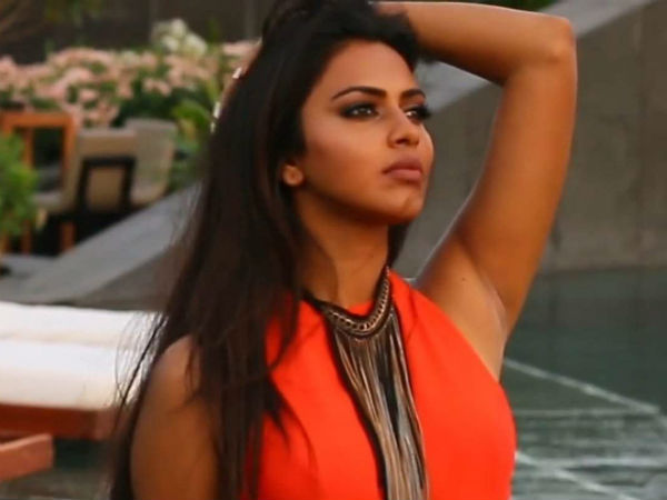 വീണ്ടും വിവാഹിതയാകും