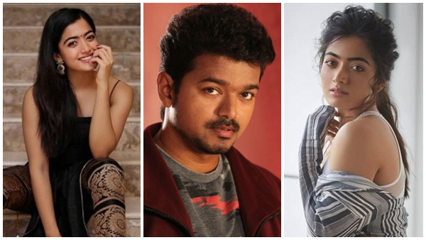 vijay vijay