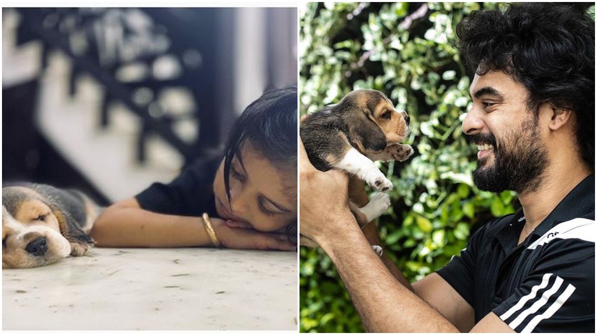 tovino thomas tovino thomas