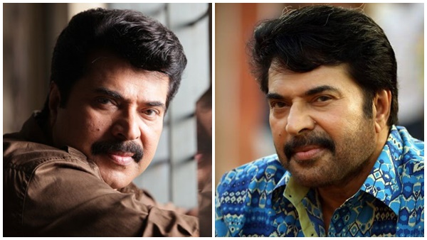 mammootty mammootty