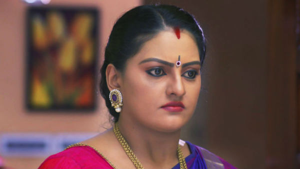 വാനമ്പാടിയിലെ അനുഭവം