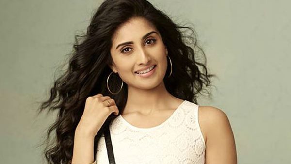 shamlee shamlee