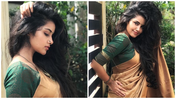 യുവസംവിധായകനുമായി വിവാഹം