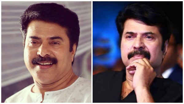 mammootty, mammootty,