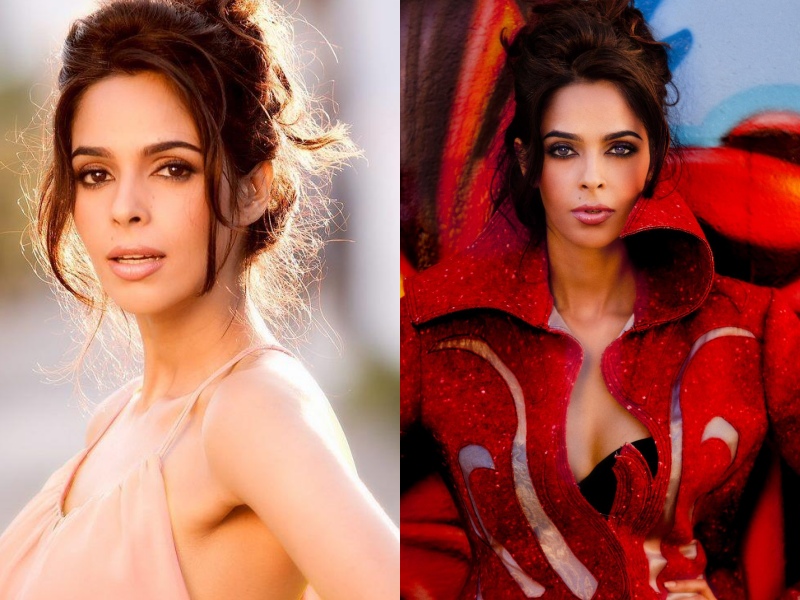 Mallika Sherawat, Mallika Sherawat news, Mallika Sherawat hot, Mallika Sherawat photos, മല്ലികാ ഷെറാവത്ത് വാർത്തകൾ, മല്ലികാ ഷെറാവത്ത് സിനിമ, ഹോട്ട് മല്ലികാ ഷെറാവത്ത്, മല്ലികാ ഷെറാവത്ത് Mallika Sherawat, Mallika Sherawat news, Mallika Sherawat hot, Mallika Sherawat photos, മല്ലികാ ഷെറാവത്ത് വാർത്തകൾ, മല്ലികാ ഷെറാവത്ത് സിനിമ, ഹോട്ട് മല്ലികാ ഷെറാവത്ത്, മല്ലികാ ഷെറാവത്ത്
