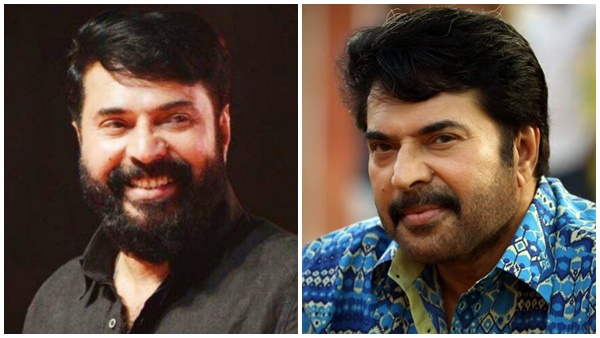mammootty mammootty