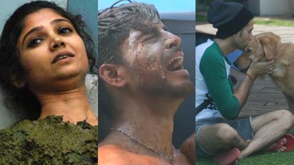 bigg boss bigg boss